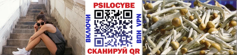 Галлюциногенные грибы Magic Shrooms  Купить закладки  Цоци-Юрт 